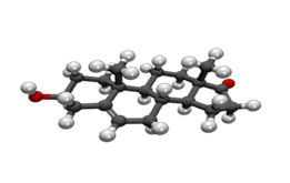 DHEA, the MOTHER HORMONE